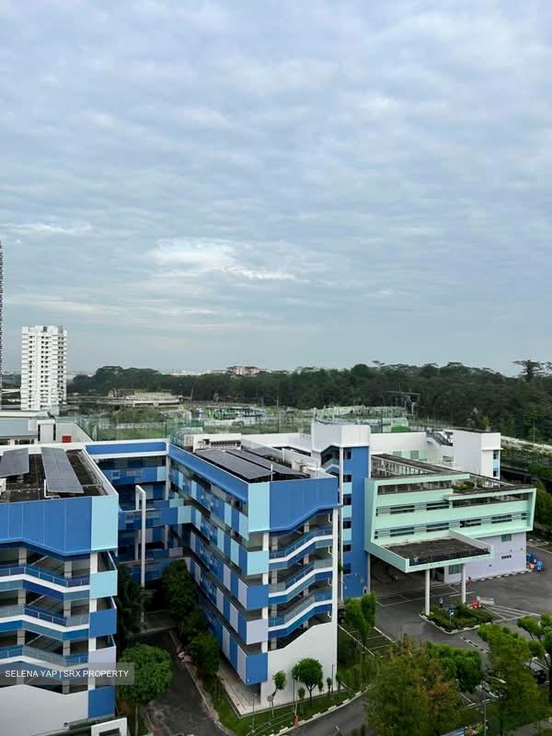 Blk 550A Segar Palmview (Bukit Panjang), HDB 4 Rooms #536431021